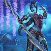Draenei Warrior paint by numbers