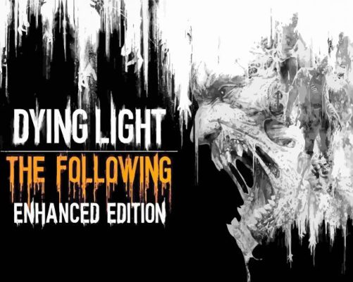 Dying Light Video Game Poster paint by numbers