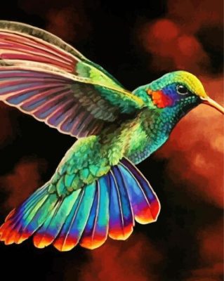 Rainbow Hummingbird paint by numbers