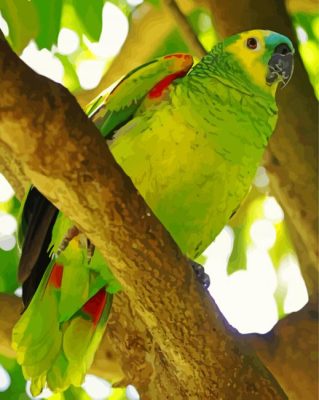 Turquoise Fronted Amazon On A Branch paint by numbers