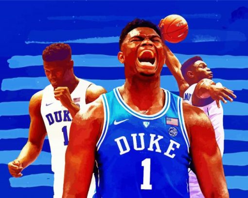 Zion Williamson paint by numbers