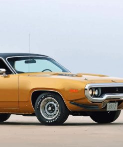 1971 Road Runner paint by numbers