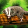 Sugar Glider paint by numbers