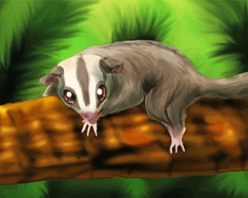 Sugar Glider paint by numbers