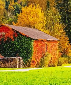 Farm House In The Fall paint by numbers