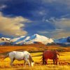 Horses And Mountains paint by numbers