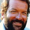 The Actor Bud Spencer paint by numbers