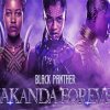 Black Panther Poster paint by numbers