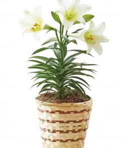 White Easter Lilies paint by numbers