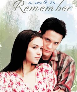A Walk To Remember Poster paint by numbers