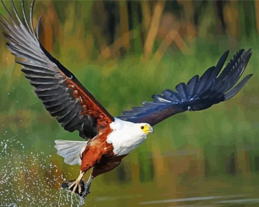 African Fish Eagle Bird paint by numbers