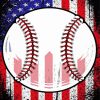 American Flag Baseball Art paint by numbers