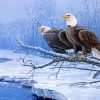 Bald Eagle On Tree paint by numbers