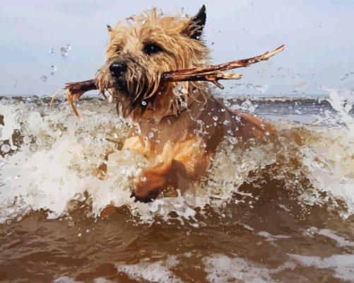 Cairn Terrier Dog paint by numbers