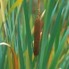 Cattail Plant And Leaves paint by numbers