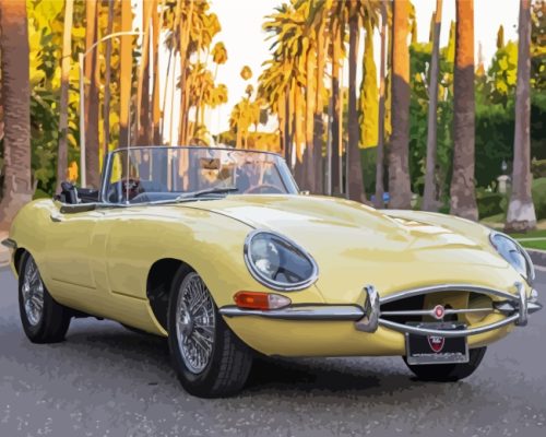 Classic Jaguar Xke Car paint by numbers