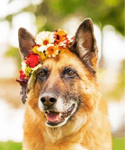 Dog In Flowers Crown paint by numbers