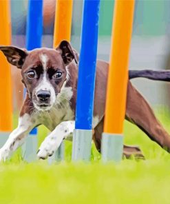 Dog Agility paint by numbers