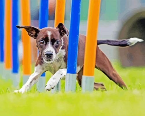 Dog Agility paint by numbers