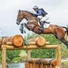 Eventing Horse paint by numbers