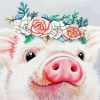 Floral Pig Animal paint by numbers