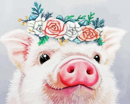 Floral Pig Animal paint by numbers