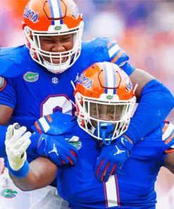 Florida Gators Football paint by numbers