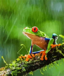 Frog In The Rain On Branch paint by numbers