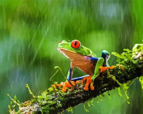 Frog In The Rain On Branch paint by numbers