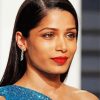 Gorgeous Freida Pinto paint by numbers