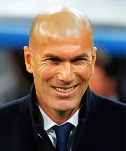Handsome Zinedine Zidane paint by numbers