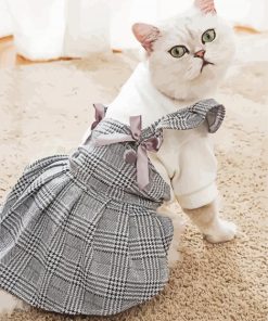 Pet Cat In Dress paint by numbers