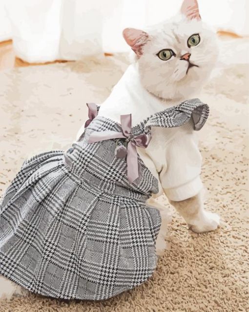 Pet Cat In Dress paint by numbers