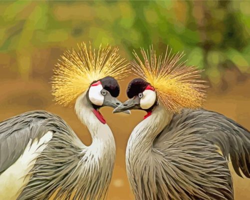 Two Grey Crowned Crane paint by numbers