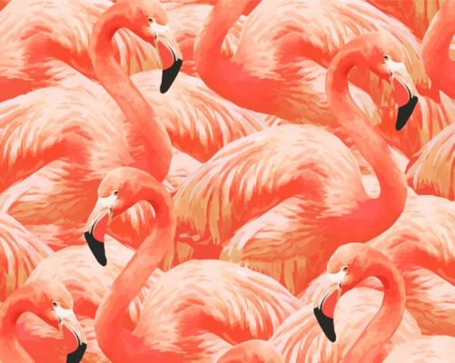 Vintage Flamingo paint by numbers