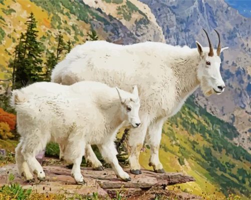 Wild Mountain Goats paint by numbers