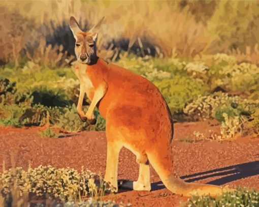 Wild Red Kangaroo paint by numbers