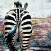 Zebra Butt paint by numbers