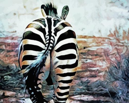 Zebra Butt paint by numbers