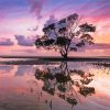 Australian Landscape Reflection paint by numbers
