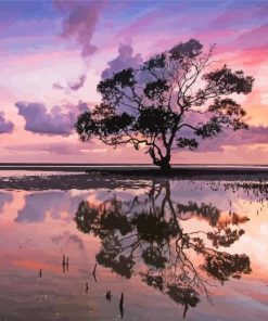 Australian Landscape Reflection paint by numbers