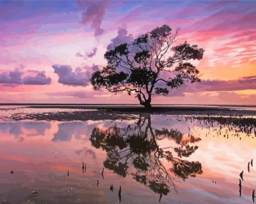 Australian Landscape Reflection paint by numbers