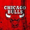 Basketball Logo Bulls paint by numbers