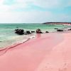 Beach With Pink Sand paint by numbers