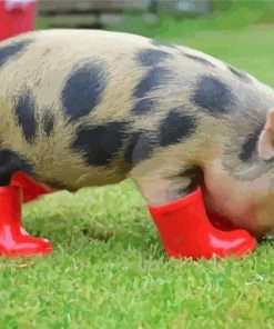 Cute Pig Wearing Boots paint by numbers