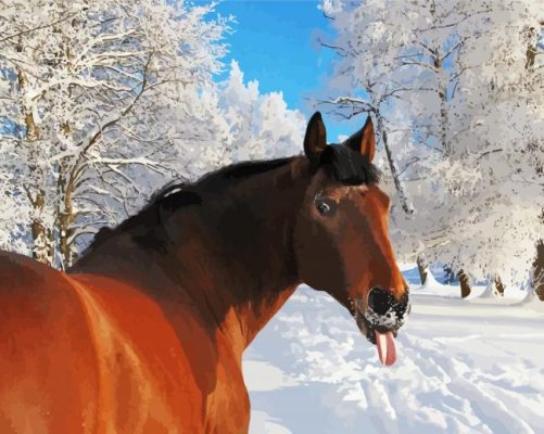 Funny Snow Horse paint by numbers