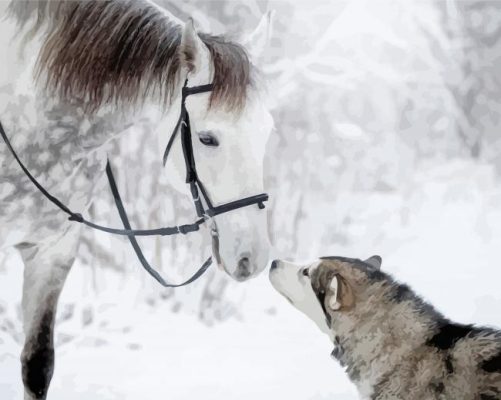 Horse And Husky Animals paint by numbers