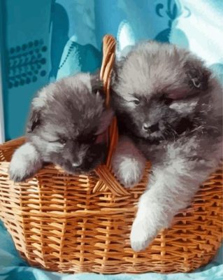 Keeshond Puppies In Basket paint by numbers