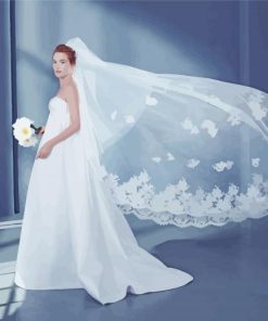 Luxury Bridal Veil paint by numbers