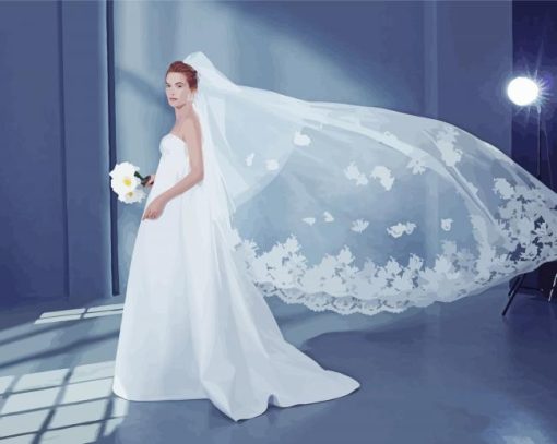 Luxury Bridal Veil paint by numbers